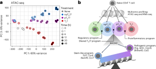 Chromatin state and BACH2 control TH17 cell functional heterogeneity