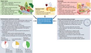 Dietary patterns to promote cardiometabolic health