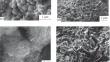 Directed Hydrothermal Synthesis of Aluminosilicates of Various Structural Types and Prospects for Their Use in Medicine