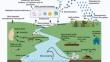 Unveiling the Role of Bioaerosols in Climate Processes: A Mini Review