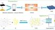 Reduced graphene oxide film modified by tannic acid for high areal performance supercapacitors