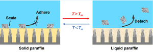 Temperature-driven sustainable anti-scaling on phase-change lubricant-infused surface