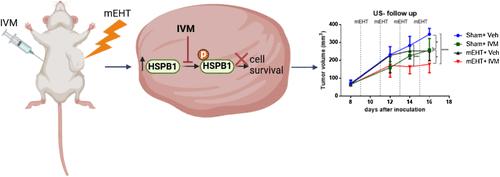 Ivermectin Synergizes with Modulated Electro-hyperthermia and Improves Its Anticancer Effects in a Triple-Negative Breast Cancer Mouse Model