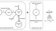 Semorinemab Pharmacokinetics and The Effect on Plasma Total Tau Pharmacodynamics in Clinical Studies