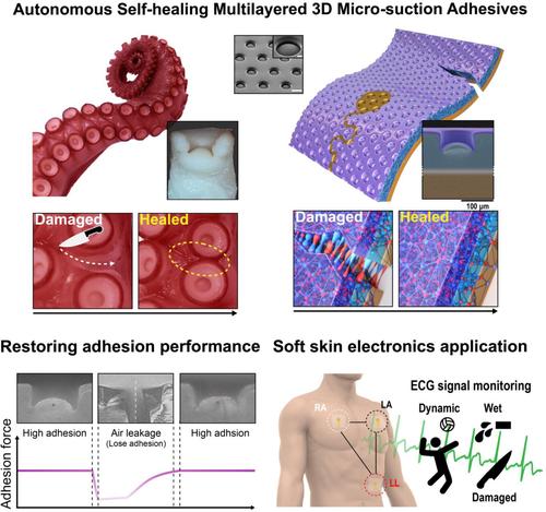 Autonomous self-healing 3D micro-suction adhesives for multi-layered amphibious soft skin electronics