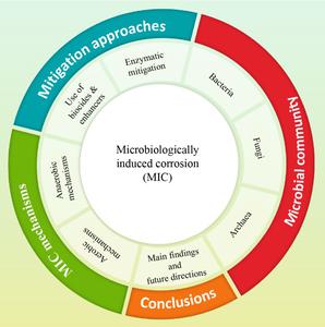 Unveiling the complexities of microbiologically induced corrosion: mechanisms, detection techniques, and mitigation strategies