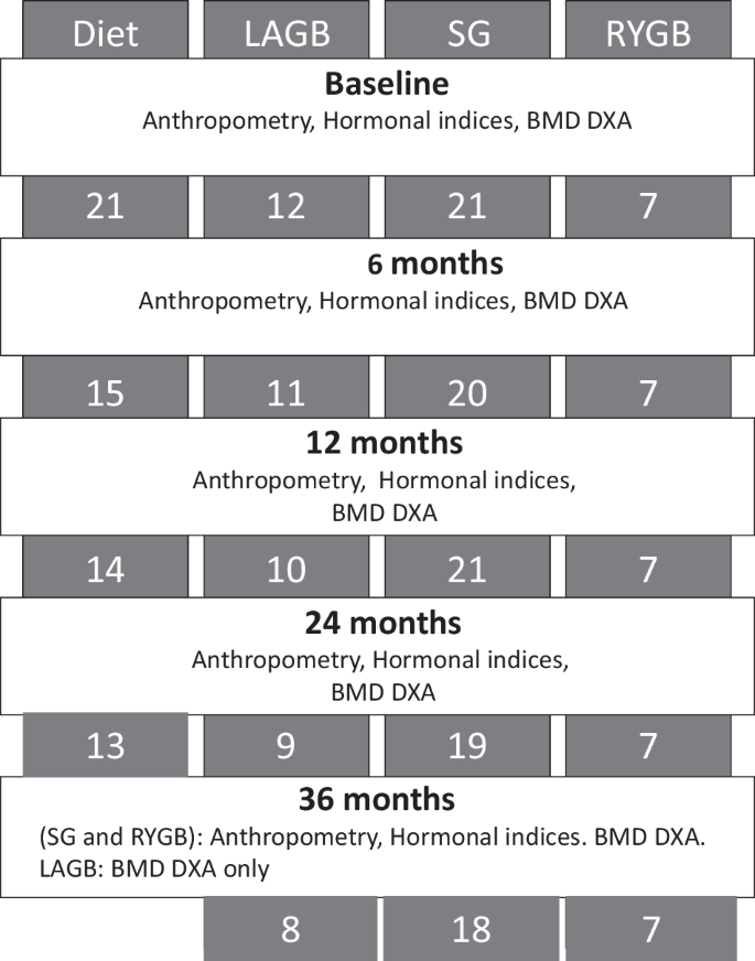 Sex-differential testosterone response to long-term weight loss