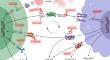 Riding the storm: managing cytokine-related toxicities in CAR-T cell therapy.