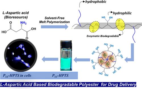 Structural Engineering of l-Aspartic Amphiphilic Polyesters for Enzyme-Responsive Drug Delivery and Bioimaging in Cancer Cells