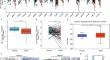 The expression of ERAP1 is favorable for the prognosis and immunotherapy in colorectal cancer: a study based on the bioinformatic and immunohistochemical analysis.