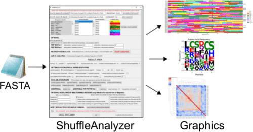 ShuffleAnalyzer: A Comprehensive Tool to Visualize DNA Shuffling.