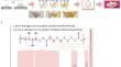 MWCNT-Loaded PCL/PXS-PCL Bilayer Cardiac Patch for Myocardial Regeneration: An In Vitro and In Vivo Study