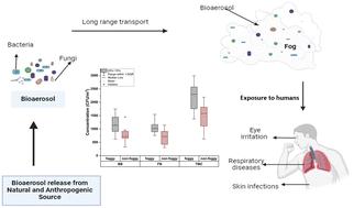 Size-segregated characteristics of bioaerosols during foggy and non-foggy days of winter, meteorological implications, and health risk assessment