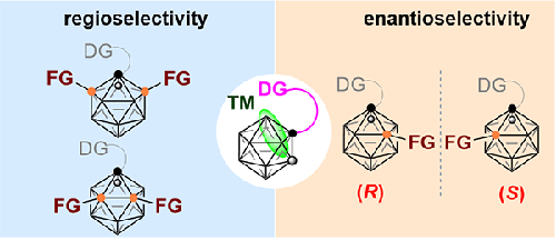 Directing Group Assisted Transition Metal Catalyzed Selective BH Functionalization of o-Carboranes