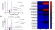 Small RNA sequencing analysis reveals regulation of microRNA expression in Madin-Darby canine kidney epithelial cells infected with Canid alphaherpesvirus 1.