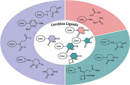 Tactics and Strategies for the Synthesis of Cereblon Ligands