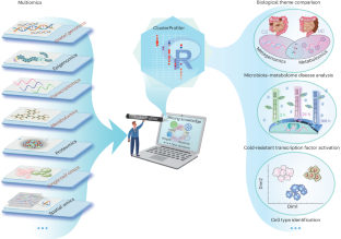 Using clusterProfiler to characterize multiomics data.