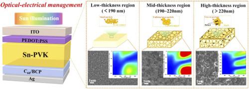 Thickness-derived optical-electrical management in Sn-based perovskite solar cells