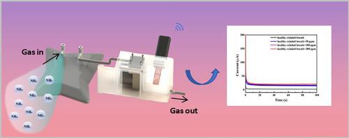 Portable and highly sensitive gas sensor based on CaCl2-Cu NPs-MIL53(Al)–NH2 nanocomposite for breath ammonia analysis