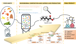 A bacterial outlook on the caproate production from food waste