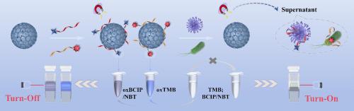 A novel MNPs@GO biosensor- integrated upconversion fluorescence cuvette for simultaneous detection of Salmonella typhimurium and Staphylococcus aureus