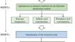 Study on Strengthening the Crystallization Process of Removing F and P from Phosphogypsum Produced by Dihydrate–Hemihydrate Wet Process