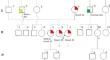 Case series of Li-Fraumeni syndrome: carcinogenic mechanisms in breast cancer with TP53 pathogenic variant carriers.