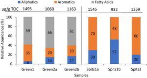 Organic geochemistry of Palaeogene coals from Greenland and Svalbard