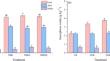 Soil Organic Matter and Amorphous Oxides Determine the Surface Electrochemical Properties of Purple Soil Under Long-Term Inorganic and Organic Fertilization