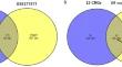 SNCA is a potential therapeutic target for COVID-19 infection in diffuse large B-cell lymphoma patients