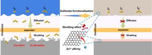 Sulfonate-functionalization in Zn-iodine batteries as one stone kills two birds: iodine limiter and uniform Zn plating guidance layer