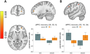 Pump the brakes: identifying neurobiological targets to enhance inhibitory control in drug addiction.