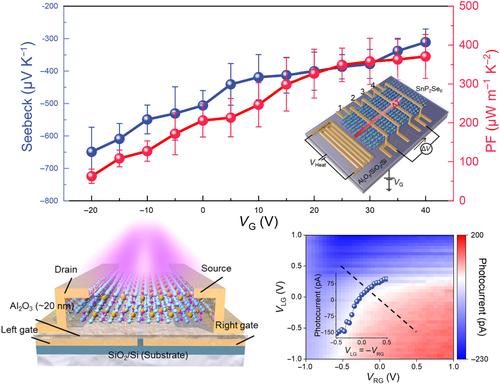 Two‐dimensional SnP2Se6 with gate‐tunable Seebeck coefficient for telecommunication band photothermoelectric detection