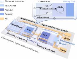 Liquid-solid heterojunction constructing bio-sensory floating-gate OECTs