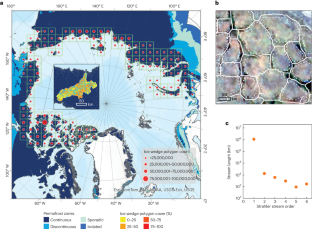 The capillaries of the Arctic tundra