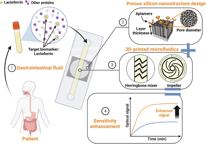 Enhancing the performance of porous silicon biosensors: the interplay of nanostructure design and microfluidic integration.