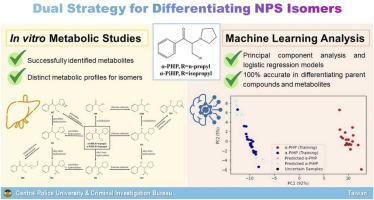 In vitro metabolic studies and machine learning analysis of mass spectrometry data: A dual strategy for differentiating alpha-pyrrolidinohexiophenone (α-PHP) and alpha-pyrrolidinoisohexanophenone (α-PiHP) in urine analysis