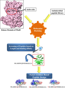 Identification and Design of Novel Potential Antimicrobial Peptides Targeting Mycobacterial Protein Kinase PknB.