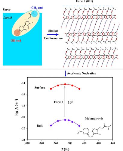 Surface Accelerates Crystal Nucleation: The Case of Molnupiravir