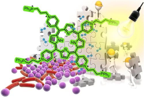 Can Porphyrin-Triphenylphosphonium Conjugates Enhance the Photosensitizer Performance Toward Bacterial Strains?