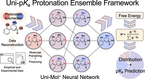 Bridging Machine Learning and Thermodynamics for Accurate pKa Prediction