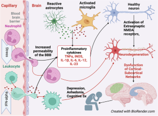 Rewiring the brain: Inflammation's impact on glutamate and neural networks in depression.