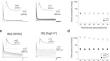 Stability of N-type inactivation and the coupling between N-type and C-type inactivation in the Aplysia Kv1 channel.