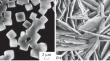 Crystallization of New Inorganic Fluoride Nanomaterials at Soft Chemistry Conditions and Their Application Prospects