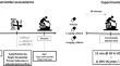 Influence of the CYP1A2 c.<sup>-163</sup> A > C polymorphism in the effect of caffeine on fat oxidation during exercise: a pilot randomized, double-blind, crossover, placebo-controlled trial.