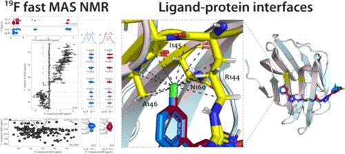 <sup>19</sup>F Fast Magic-Angle Spinning NMR Spectroscopy on Microcrystalline Complexes of Fluorinated Ligands and the Carbohydrate Recognition Domain of Galectin-3.