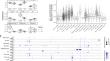 Integration of single-cell and bulk RNA sequencing revealed immune heterogeneity and its association with disease activity in rheumatoid arthritis patients.