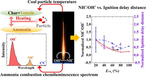 Ignition Characteristics and Interaction of Coal and Ammonia Co-Combustion on a Diffusion-Flamelet-Based Hencken Burner