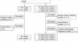 Fully automated segmentation and volumetric measurement of ocular adnexal lymphoma by deep learning-based self-configuring nnU-net on multi-sequence MRI: a multi-center study.