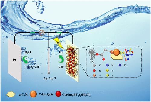 Fabrication of Co-Grafted g-C3N4/CdSe-NiO Photocathode for Hydrogen Evolution under Visible Light